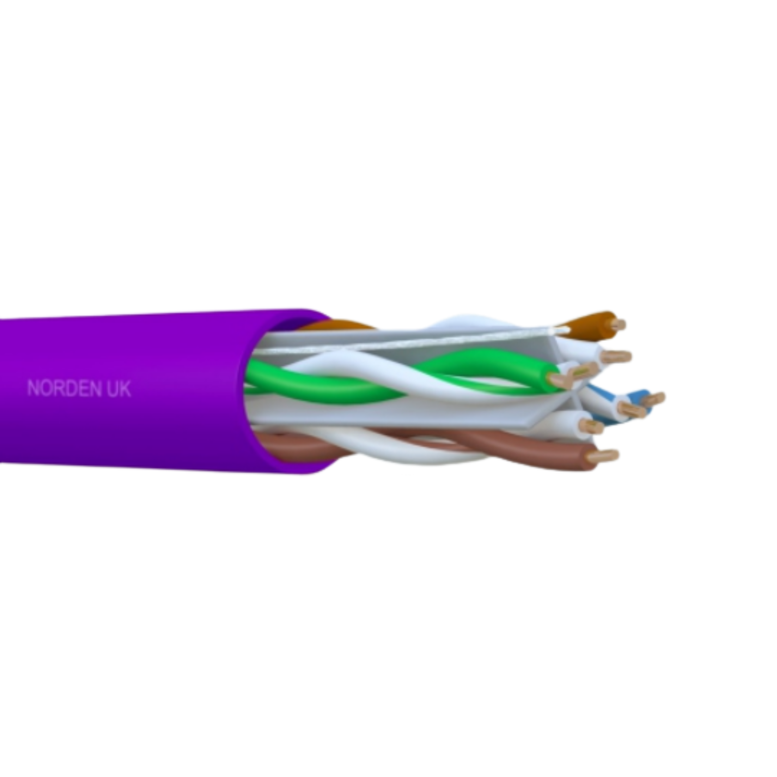 CAT6 NETWORKING CABLE 1 CAT6 NETWORKING CABLE